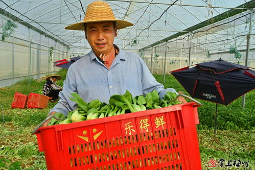 小特色撬動(dòng)大產(chǎn)業(yè) 梅江區(qū)苗木產(chǎn)業(yè)的市場(chǎng)化、產(chǎn)業(yè)化、品牌化路徑