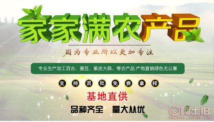 甘肅優(yōu)質紫皮獨頭蒜 天然綠色的健康蔬菜之選