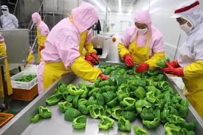 定邊探索推進村干部待遇補貼與村集體經濟收益掛鉤新辦法——以蔬菜產業發展為試點