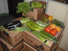 商丘與民權合資企業推出食品罐與酒罐包裝定制服務，拓寬紙罐應用新市場