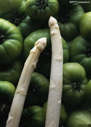 鮮靈之魅 從田頭到餐桌的蔬菜美學與食材新生