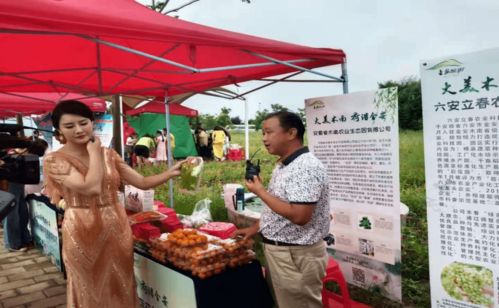 六安市金安區第六屆荷花旅游文化節開幕 西商木南公司特色蔬菜類農產品大放異彩受到廣泛好評